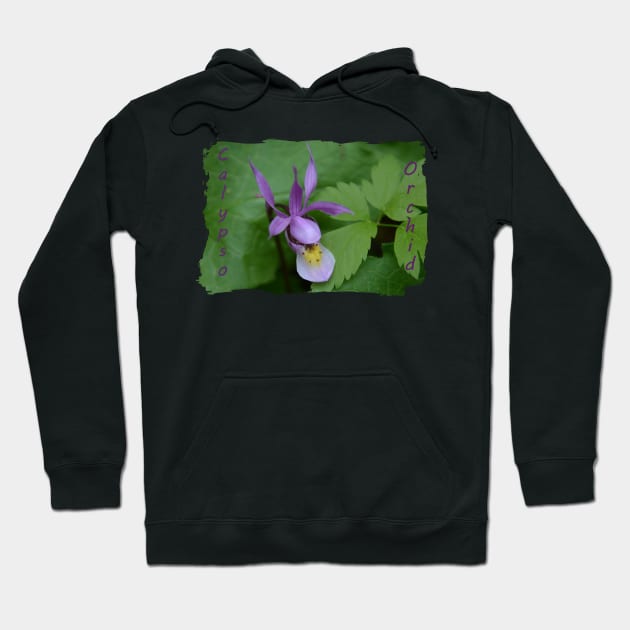 Calypso Orchid Hoodie by Whisperingpeaks